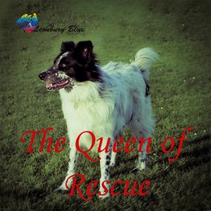 The Queen Of Rescue